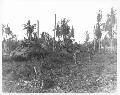 Tanks moving up along road on Orote Peninsula. July 25, 1944